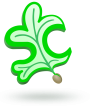 leaf-only-sc-logo